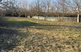 Teren de vânzare Micești - 193704TV | BLITZ Alba Iulia | Poza2