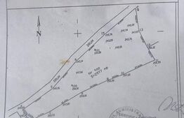 Teren de vânzare – 2.977 mp, intravilan, Scărișoara
