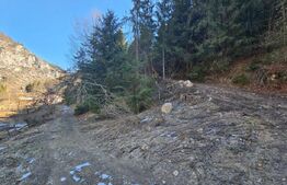 Teren de vânzare – 2.977 mp, intravilan, Scărișoara