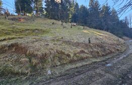 Teren de vânzare – 2.977 mp, intravilan, Scărișoara