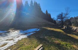 Teren de vânzare – 2.977 mp, intravilan, Scărișoara