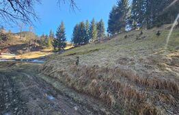 Teren de vânzare – 2.977 mp, intravilan, Scărișoara