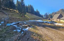 Teren de vânzare – 2.977 mp, intravilan, Scărișoara