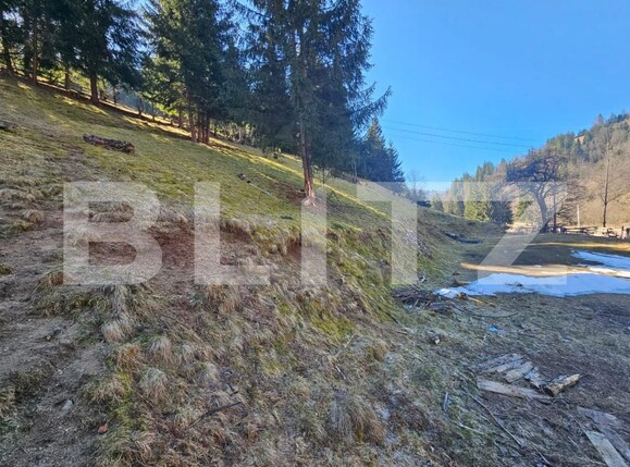 Teren de vânzare Scarisoara - 189884TV | BLITZ Alba Iulia | Poza1