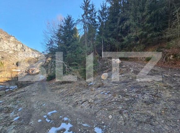 Teren de vânzare Scarisoara - 189884TV | BLITZ Alba Iulia | Poza6