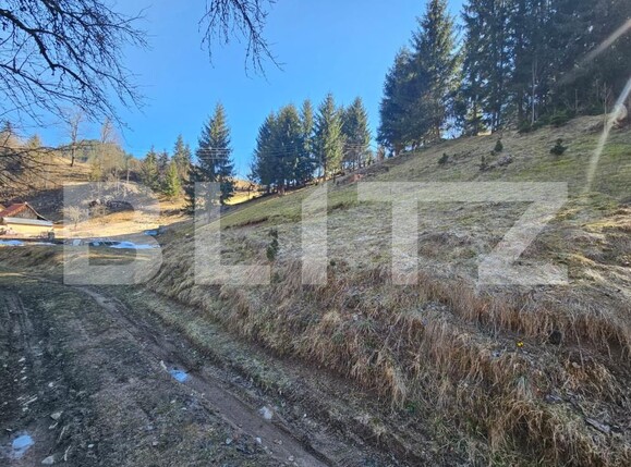 Teren de vânzare Scarisoara - 189884TV | BLITZ Alba Iulia | Poza5