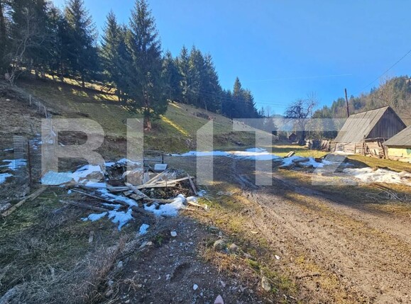 Teren de vânzare Scarisoara - 189884TV | BLITZ Alba Iulia | Poza2