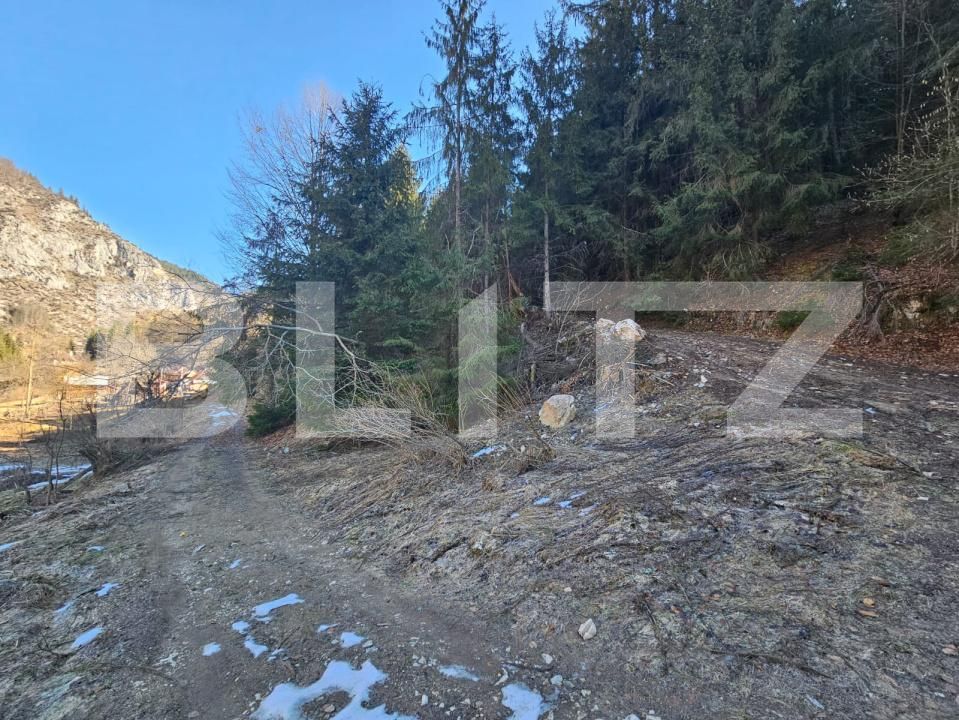 Teren de vânzare Scarisoara - 189884TV | BLITZ Alba Iulia | Poza6