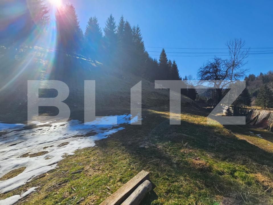 Teren de vânzare Scarisoara - 189884TV | BLITZ Alba Iulia | Poza2