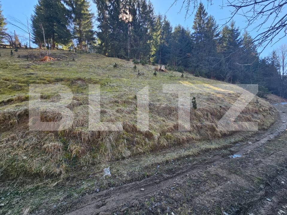 Teren de vânzare Scarisoara - 189884TV | BLITZ Alba Iulia | Poza4