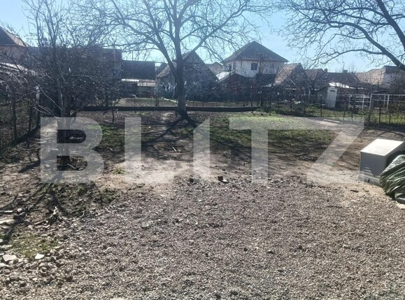 Casa de vânzare 2 camere Lipoveni - 189888CV | BLITZ Alba Iulia | Poza7