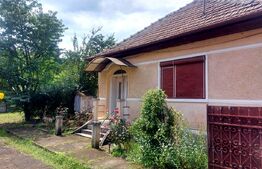 Casă de vânzare în Blaj – 2500 mp teren, 90 mp utili