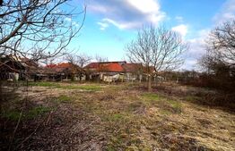 Casă de vânzare în Blaj – 2500 mp teren, 90 mp utili