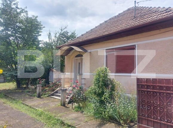 Casa de vânzare 4 camere Blaj - 189900CV | BLITZ Alba Iulia | Poza1