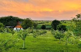 Cabană deosebită cu livadă și panoramă superbă–refugiu în natură, langa Blaj