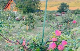 Cabană deosebită cu livadă și panoramă superbă–refugiu în natură, langa Blaj