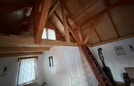 Cabană deosebită cu livadă și panoramă superbă–refugiu în natură, langa Blaj