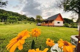 Cabană deosebită cu livadă și panoramă superbă–refugiu în natură, langa Blaj