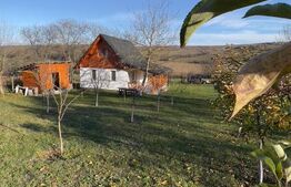 Cabană deosebită cu livadă și panoramă superbă–refugiu în natură, langa Blaj