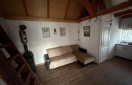 Cabană deosebită cu livadă și panoramă superbă–refugiu în natură, langa Blaj