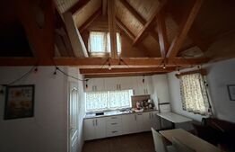 Cabană deosebită cu livadă și panoramă superbă–refugiu în natură, langa Blaj