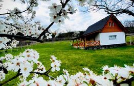 Cabană deosebită cu livadă și panoramă superbă–refugiu în natură, langa Blaj