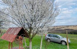 Cabană cu livadă și panoramă superbă – Refugiu în natură, Blaj