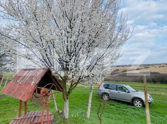 Casa de vânzare 2 camere Blaj - 189941CV | BLITZ Alba Iulia | Poza10