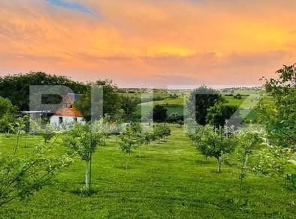 Casa de vânzare 2 camere Blaj - 189941CV | BLITZ Alba Iulia | Poza9