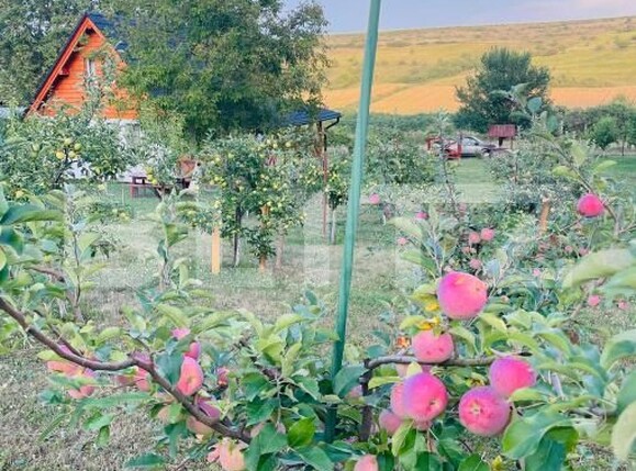 Casa de vânzare 2 camere Blaj - 189941CV | BLITZ Alba Iulia | Poza6