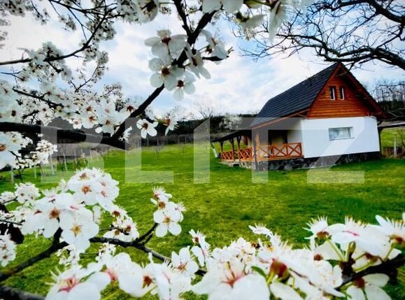 Casa de vânzare 2 camere Blaj - 189941CV | BLITZ Alba Iulia | Poza1