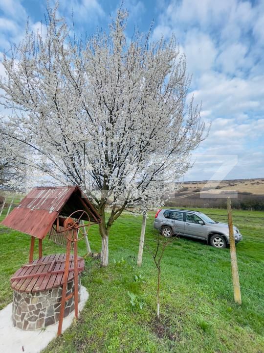 Casa de vânzare 2 camere Blaj - 189941CV | BLITZ Alba Iulia | Poza10