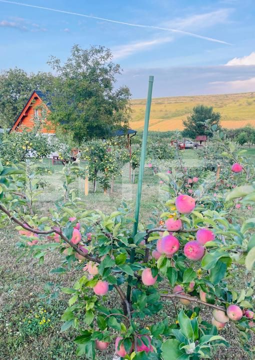 Casa de vânzare 2 camere Blaj - 189941CV | BLITZ Alba Iulia | Poza6