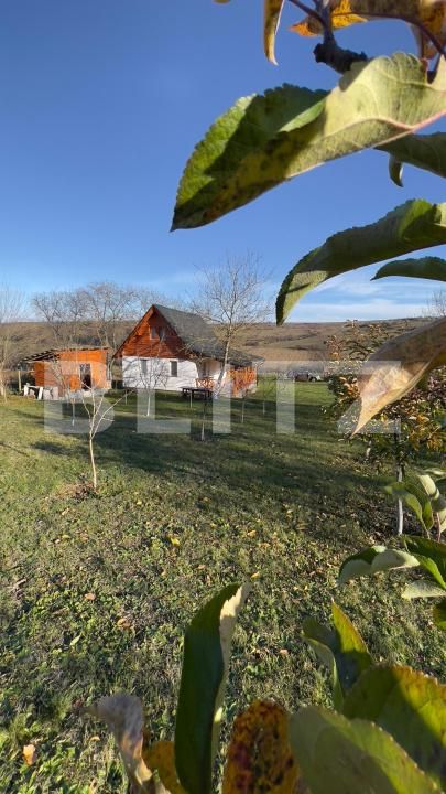 Casa de vânzare 2 camere Blaj - 189941CV | BLITZ Alba Iulia | Poza8