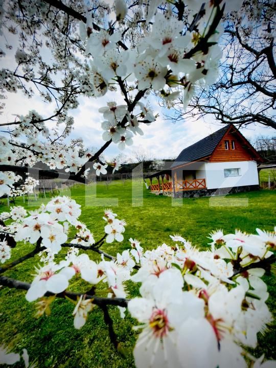 Casa de vânzare 2 camere Blaj - 189941CV | BLITZ Alba Iulia | Poza2