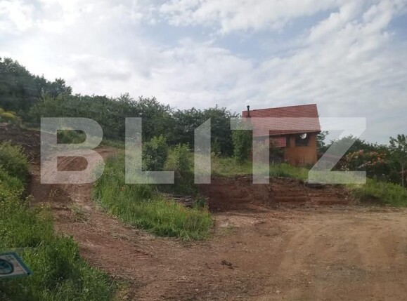 Teren de vânzare Micești - 189963TV | BLITZ Alba Iulia | Poza4