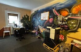 Casă de închiriat, 600 mp, zonă Centrală - Alba Iulia