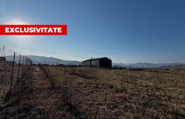 Teren intravilan 1300 mp, zona Micești – Orizont