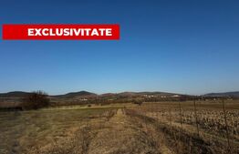 Teren intravilan 1300 mp, zona Micești – Orizont