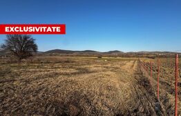 Teren intravilan 1300 mp, zona Micești – Orizont
