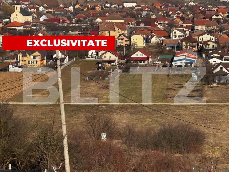 Teren de vânzare Micești - 189994TV | BLITZ Alba Iulia | Poza2