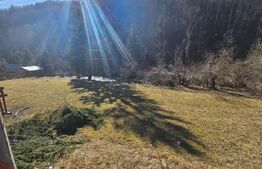 Teren intravilan 2690 mp la munte, Garda de Sus