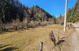 Teren intravilan 2690 mp la munte, Garda de Sus