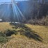 Teren de vânzare Garda de Sus - 190037TV - Poza 1 din 5 | BLITZ Alba Iulia | Poza3