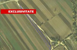 Teren generos 4300 mp – Pârâul lui Mihai, ideal pentru cabană sau grădină