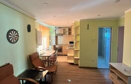 Apartament de inchiriat, 300 E, 2 camere, zona Stadion II