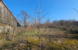 Casă din cărămidă, 4 camere, șură și curte mare – Sâncel (Blaj), Alba