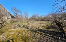 Casă din cărămidă, 4 camere, șură și curte mare – Sâncel (Blaj), Alba