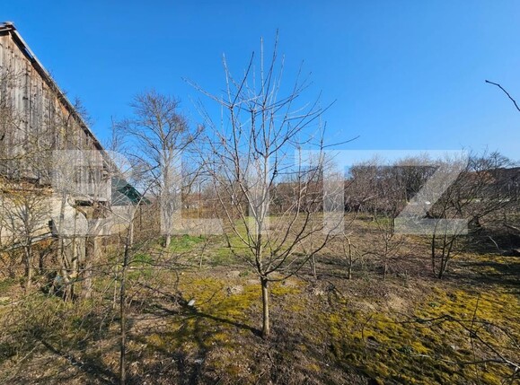 Casa de vânzare 4 camere Sancel - 190411CV | BLITZ Alba Iulia | Poza12