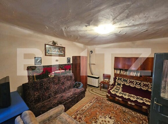 Casa de vânzare 4 camere Sancel - 190411CV | BLITZ Alba Iulia | Poza1
